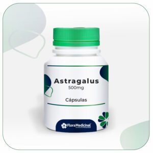 Astragalus 500mg