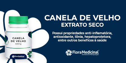 Canela Velho MOBILE